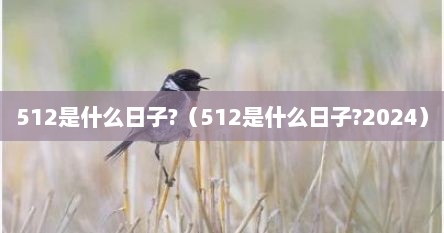 512是什么日子?（512是什么日子?2024）