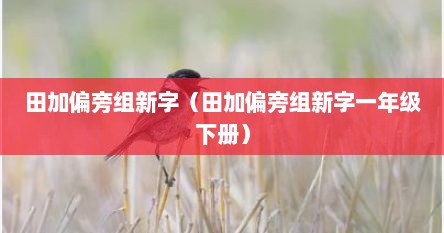 田加偏旁组新字（田加偏旁组新字一年级下册）