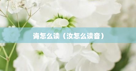 诲怎么读（汝怎么读音）