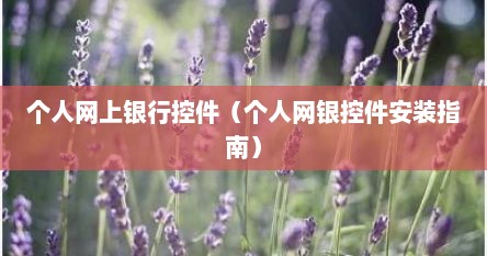 个人网上银行控件（个人网银控件安装指南）