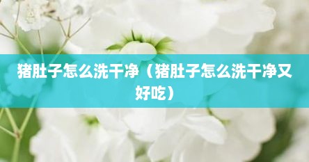 猪肚子怎么洗干净（猪肚子怎么洗干净又好吃）