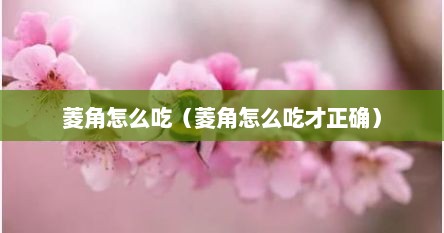 菱角怎么吃（菱角怎么吃才正确）