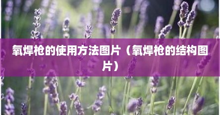 氧焊枪的使用方法图片（氧焊枪的结构图片）