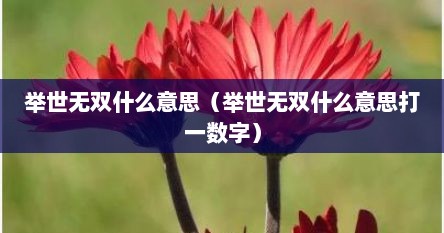 举世无双什么意思（举世无双什么意思打一数字）