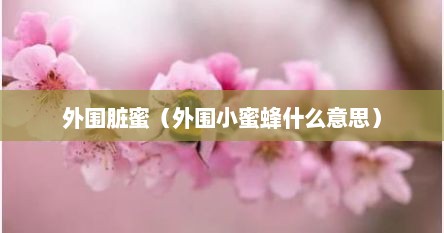 外围脏蜜（外围小蜜蜂什么意思）