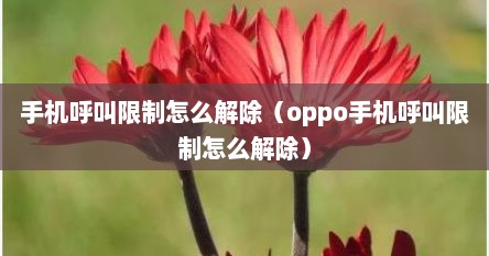 手机呼叫限制怎么解除（oppo手机呼叫限制怎么解除）