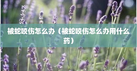 被蛇咬伤怎么办（被蛇咬伤怎么办用什么药）