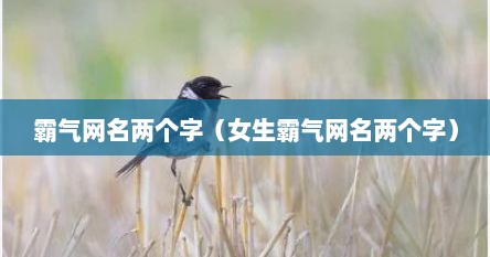 霸气网名两个字（女生霸气网名两个字）