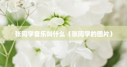 张同学音乐叫什么（张同学的图片）