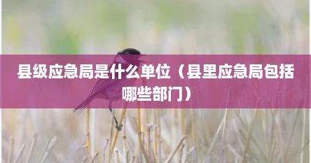 县级应急局是什么单位（县里应急局包括哪些部门）