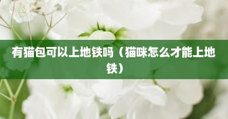 有猫包可以上地铁吗（猫咪怎么才能上地铁）