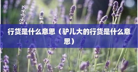 行货是什么意思（驴儿大的行货是什么意思）