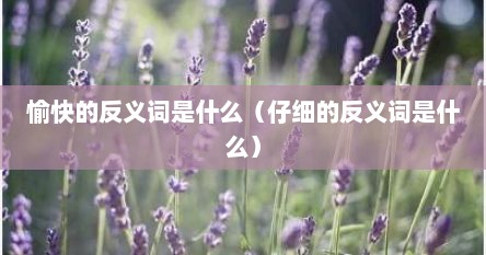 愉快的反义词是什么（仔细的反义词是什么）