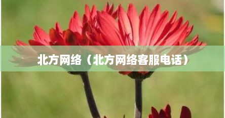 北方网络（北方网络客服电话）