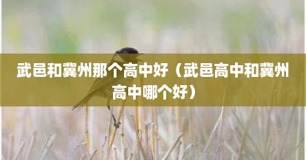 武邑和冀州那个高中好（武邑高中和冀州高中哪个好）