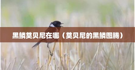 黑鳞莫贝尼在哪（莫贝尼的黑鳞图腾）