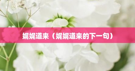 娓娓道来（娓娓道来的下一句）