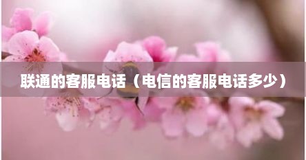 联通的客服电话（电信的客服电话多少）