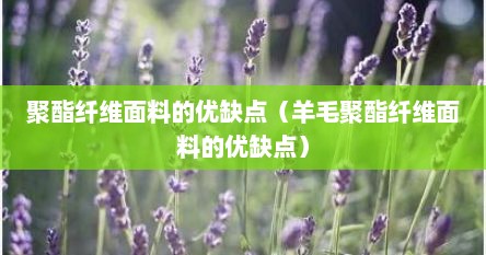 聚酯纤维面料的优缺点（羊毛聚酯纤维面料的优缺点）