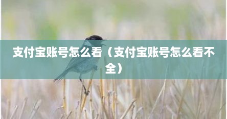 支付宝账号怎么看（支付宝账号怎么看不全）