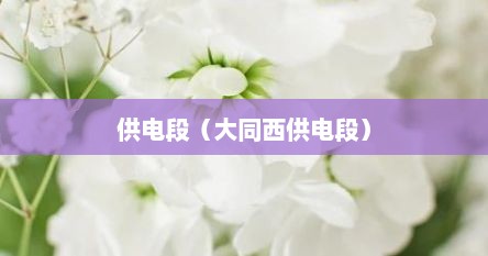 供电段（大同西供电段）