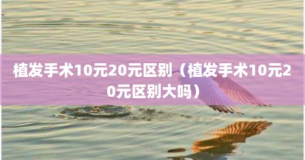 植发手术10元20元区别（植发手术10元20元区别大吗）