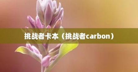 挑战者卡本（挑战者carbon）