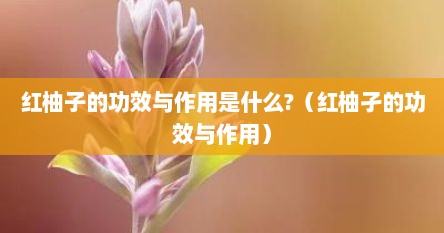 红柚子的功效与作用是什么?（红柚孑的功效与作用）