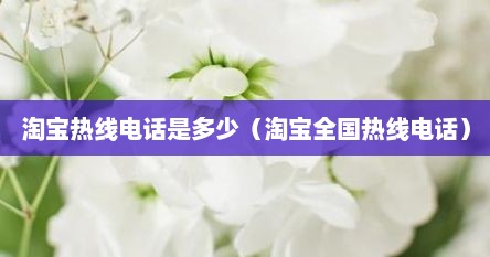 淘宝热线电话是多少（淘宝全国热线电话）