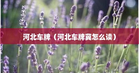 河北车牌（河北车牌冀怎么读）