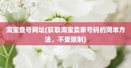 淘宝查号网址(获取淘宝卖家号码的简单方法，不受限制)