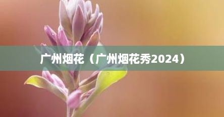 广州烟花（广州烟花秀2024）