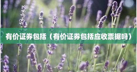 有价证券包括（有价证券包括应收票据吗）