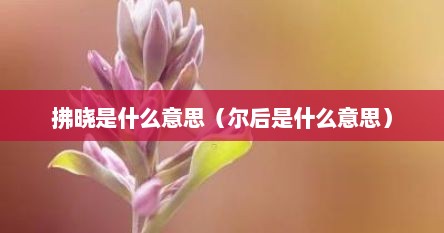 拂晓是什么意思（尔后是什么意思）