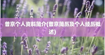 普京个人资料简介(普京简历及个人经历概述)