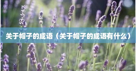 关于帽子的成语（关于帽子的成语有什么）