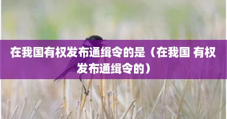 在我国有权发布通缉令的是（在我国 有权发布通缉令的）