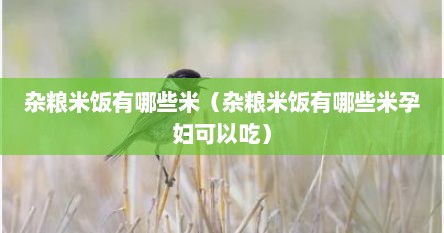 杂粮米饭有哪些米（杂粮米饭有哪些米孕妇可以吃）