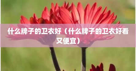 什么牌子的卫衣好（什么牌子的卫衣好看又便宜）