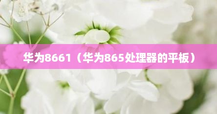 华为8661（华为865处理器的平板）