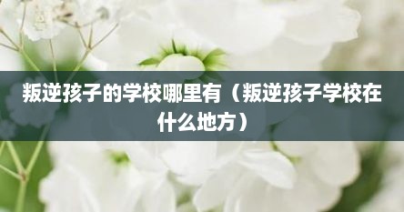 叛逆孩子的学校哪里有（叛逆孩子学校在什么地方）