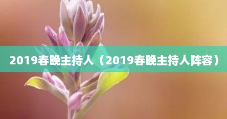 2019春晚主持人（2019春晚主持人阵容）