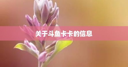 关于斗鱼卡卡的信息