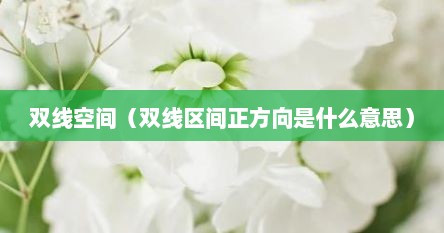 双线空间（双线区间正方向是什么意思）