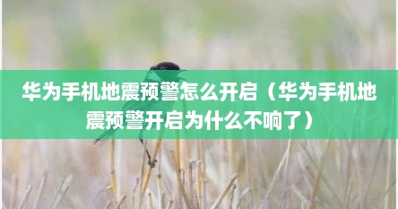 华为手机地震预警怎么开启（华为手机地震预警开启为什么不响了）