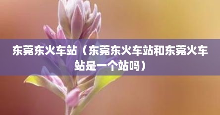 东莞东火车站（东莞东火车站和东莞火车站是一个站吗）