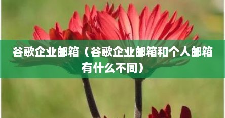 谷歌企业邮箱（谷歌企业邮箱和个人邮箱有什么不同）