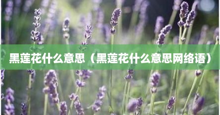 黑莲花什么意思（黑莲花什么意思网络语）