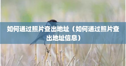 如何通过照片查出地址（如何通过照片查出地址信息）