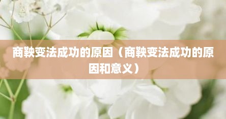 商鞅变法成功的原因（商鞅变法成功的原因和意义）